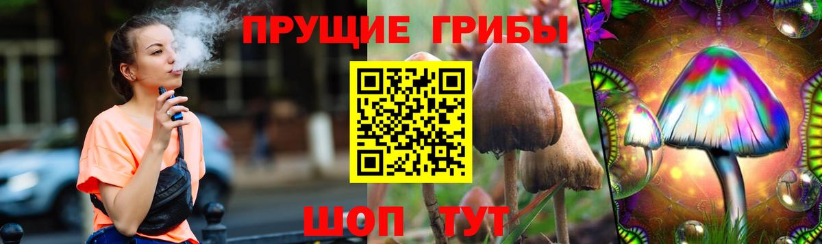 Алушта  Галлюциногенные грибы Psilocybe  цены   Вход с VPN  Псилоцибиновые грибы Psilocybine cubensis 
